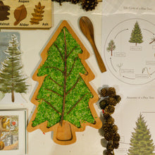 Load image into Gallery viewer, Tree Tray