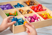 Load image into Gallery viewer, Loose Parts 324pc set