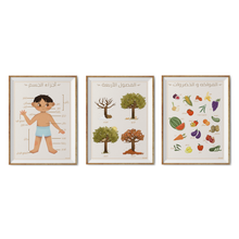 Load image into Gallery viewer, Arabic Educational Posters Set