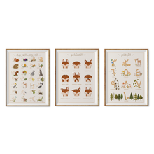 Load image into Gallery viewer, Arabic Educational Posters Set