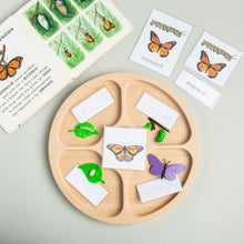Load image into Gallery viewer, Round Loose Parts Tray