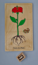 Load image into Gallery viewer, Parts of a Plant Puzzle
