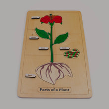 Load image into Gallery viewer, Parts of a Plant Puzzle
