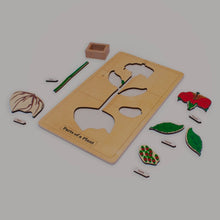 Load image into Gallery viewer, Parts of a Plant Puzzle
