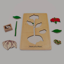 Load image into Gallery viewer, Parts of a Plant Puzzle

