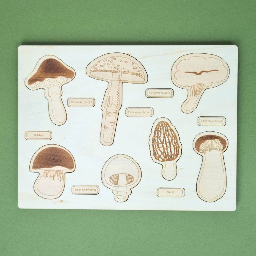 Toadstool Puzzle