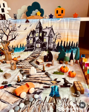 Load image into Gallery viewer, The Wonderie Play Cloth - Trick or Treat
