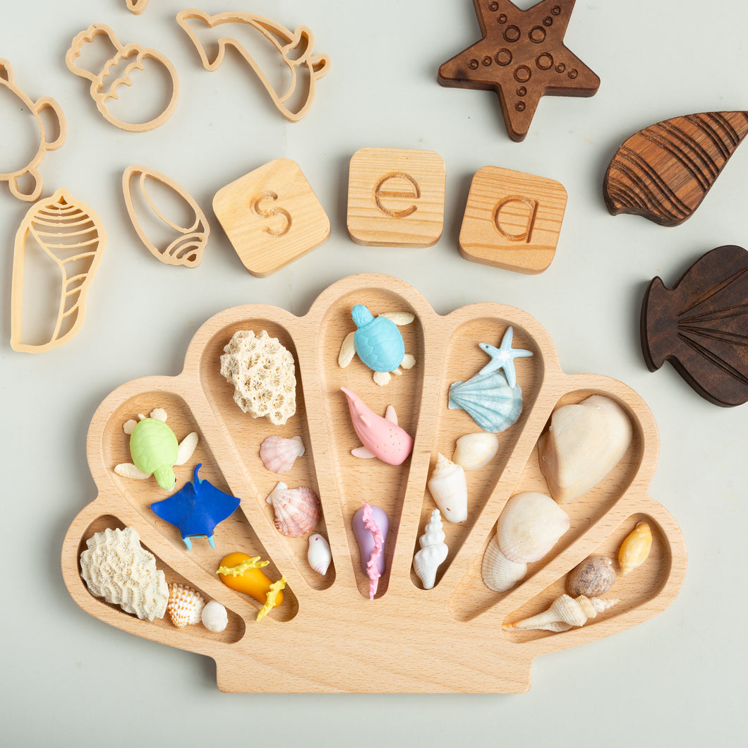 Shell Loose parts Tray